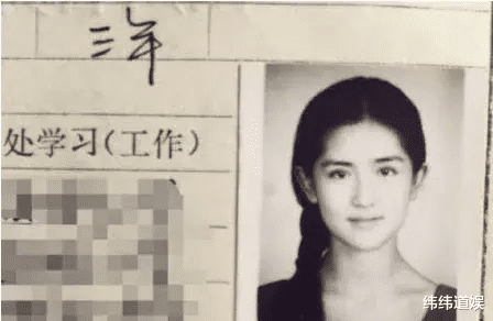 谢娜|谢娜，还能做回曾经那个自己吗？