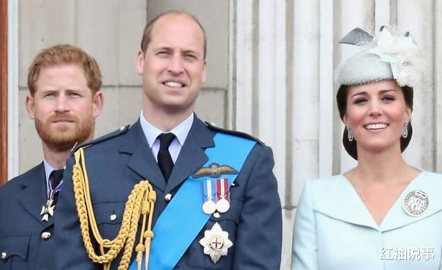 哈里王子独自回来,看望患癌的凯特王妃,梅根王妃却袖手旁观