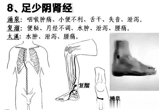 十二经络养生顺口溜，附图解