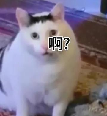 刚刚，华为Mate70来了，这外观有点骚啊