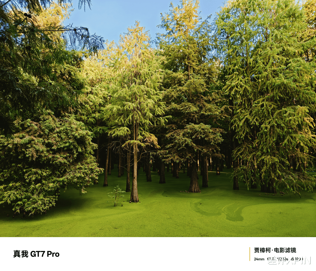 年度性价比手机,可能要被真我 GT7 Pro 预定了