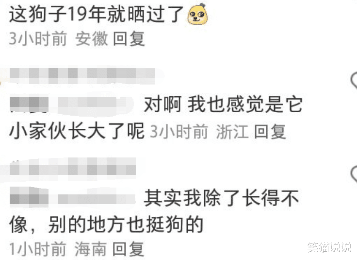 刘亦菲晒春游照，草地上席地而坐好自在，与爱犬合照好悠然