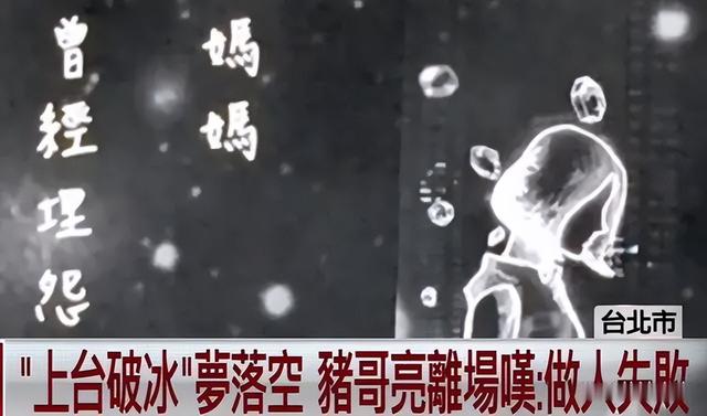 谢金燕：破浪女星的逆袭之路，父亲阴影下的浪姐5之战！