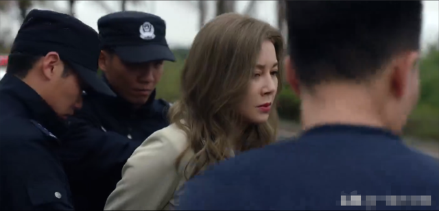 《九部检察官》圆满收官!好家伙,真是我生平所见,最恶心的结局