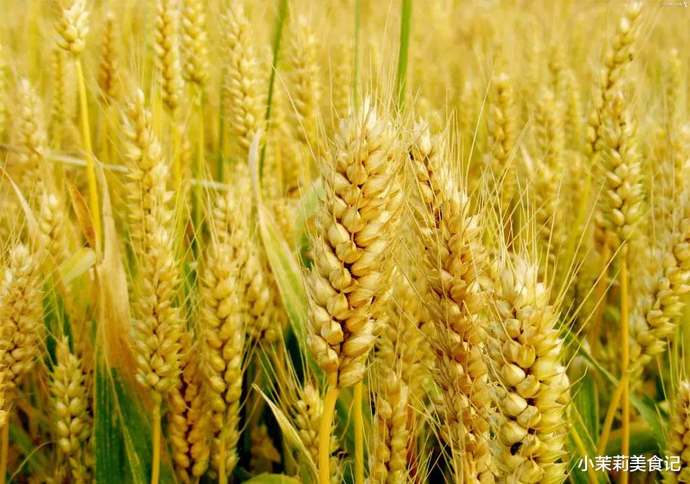 正月二十一,你知道是啥节?3件大事别忘做,寓意五谷丰登,生活美满