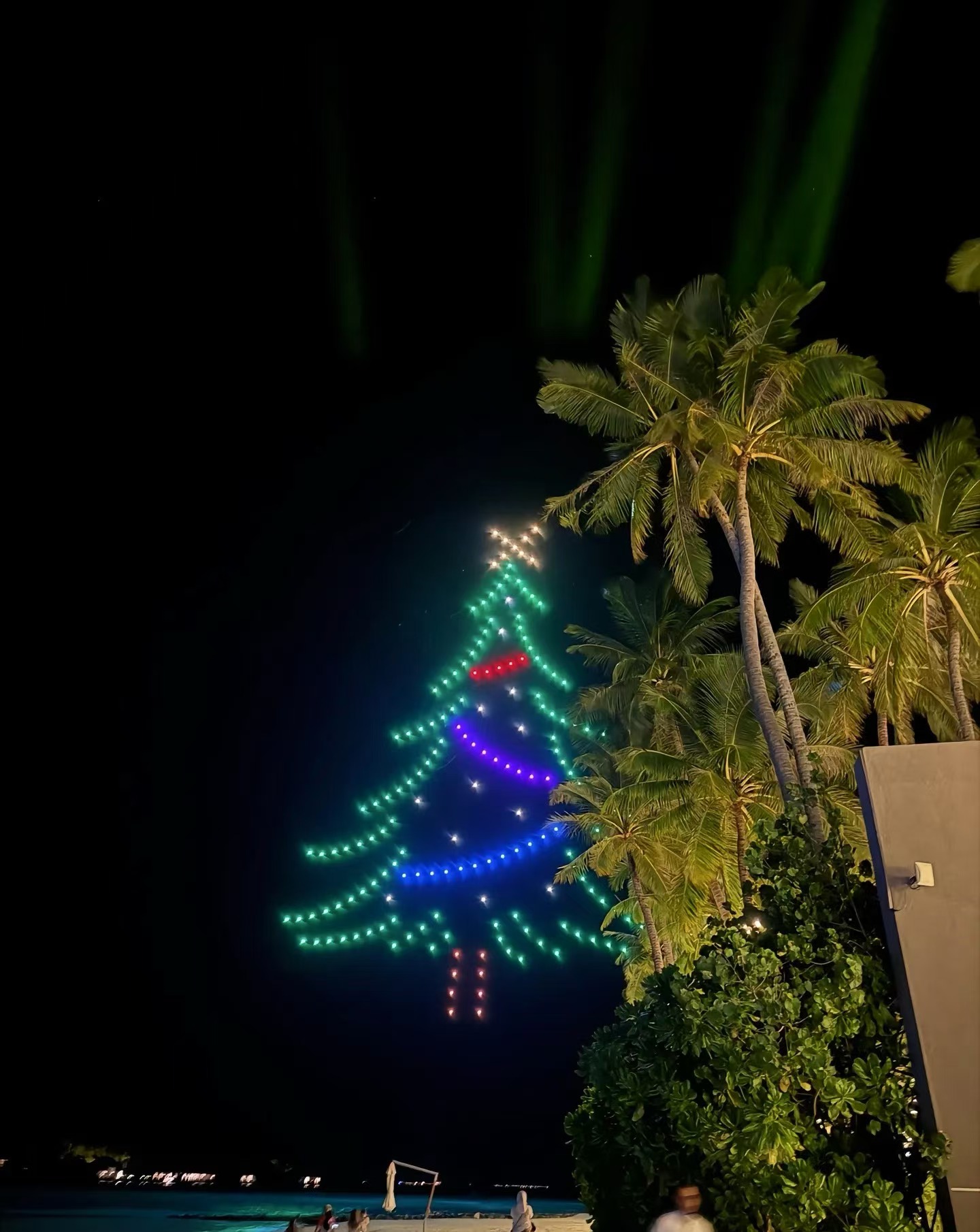 王思聪把懒懒宠上天！带她去马尔代夫坐游艇出海，两人拥抱好甜蜜