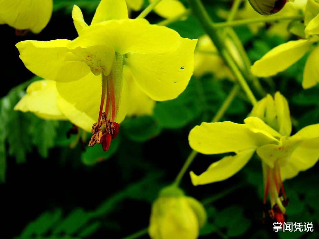 结束与开始:一段得体的离职告别语这样写