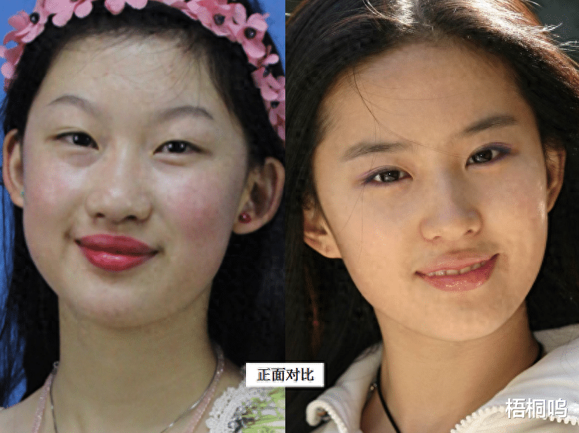 19岁少女执意整成刘亦菲,连名字也高仿,8年后却过上另一种人生