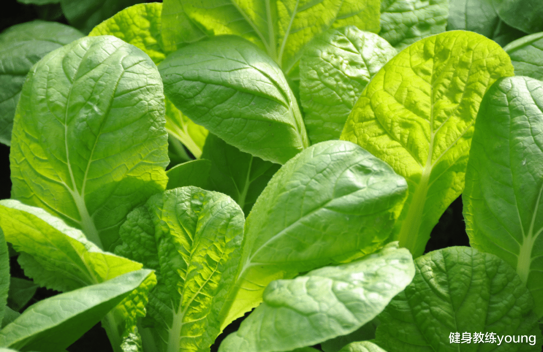 瘦30斤之后才知道的事情，做到就能瘦下来