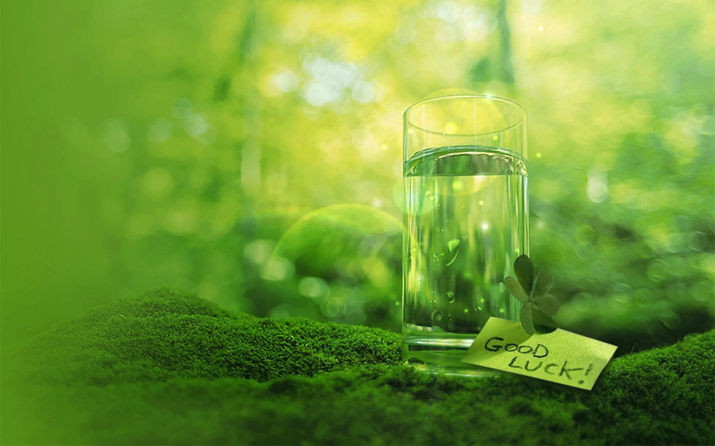 ?户外负重有氧运动结合局部肌力训练治疗老年骨质疏松的临床效果