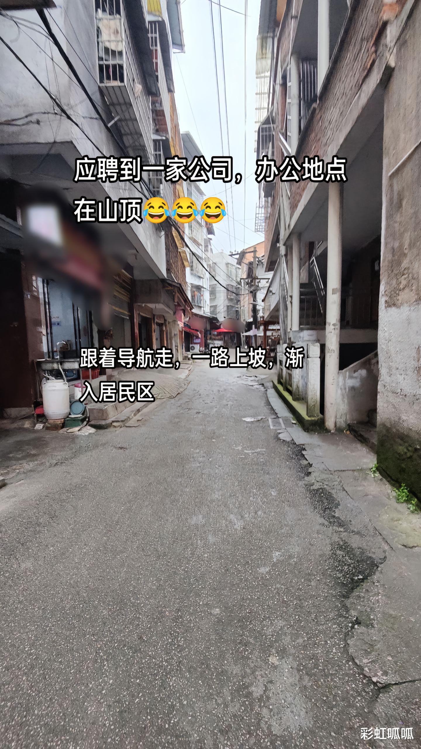 我可以干到退休！贵州一女子去当守山员，追剧玩游戏都没人管