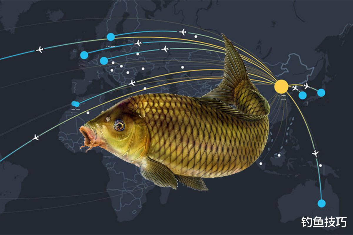 钓鱼时影响鱼开口的5个要素，决定鱼口好坏
