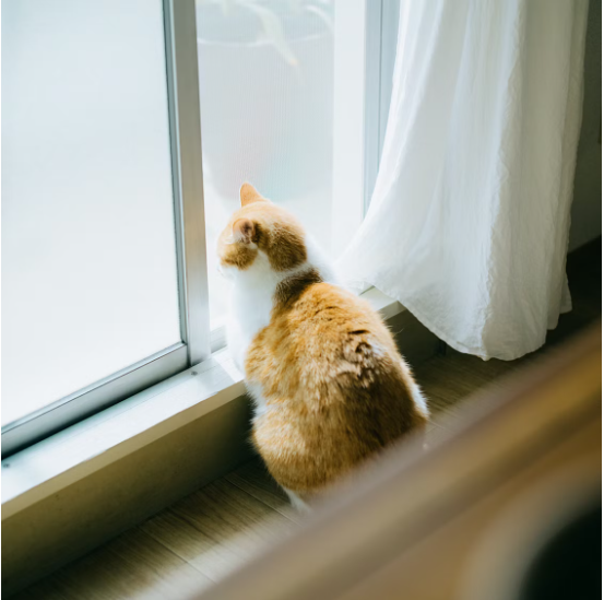 70+岁阿姨坚持健身10年，网友：这样的自律生活我超羡慕！