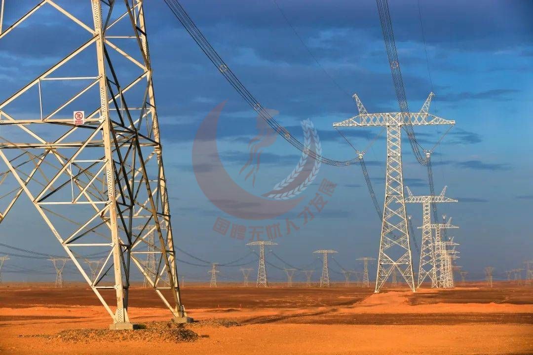 备考国家电网25届一批须知:24年网申报名人数