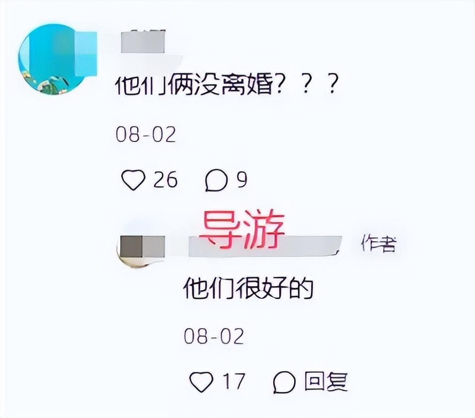 突发!曝张嘉译王海燕离婚,知情者曝离婚原因,最后同框画面曝光