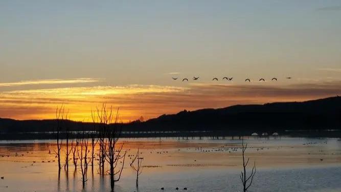 35+的人生抉择：是追求工作，还是拥抱自由？