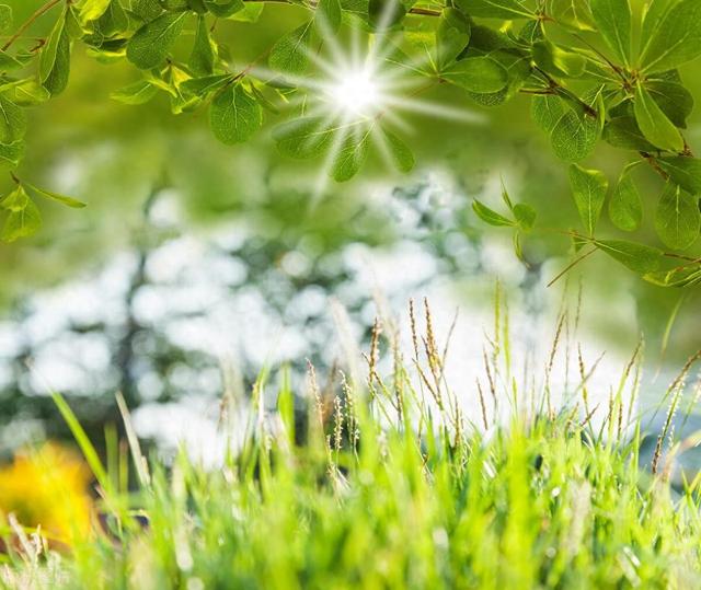 春夏交替钓鱼难?记住这几个调整,保证鱼获量,轻松爆护