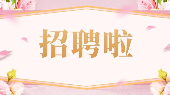 崇明这个镇招聘20名工作人员