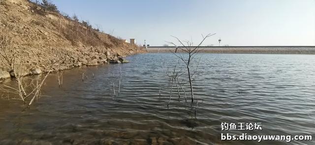 用地狱猫，2024年才找回一点点中鱼的感觉
