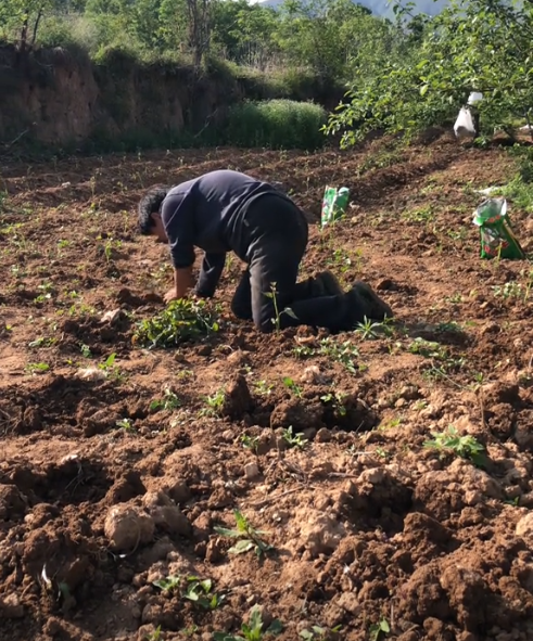 一盘青椒炒肉母亲只敢夹青椒!炸出了多少在婚姻中苦不堪言的女性