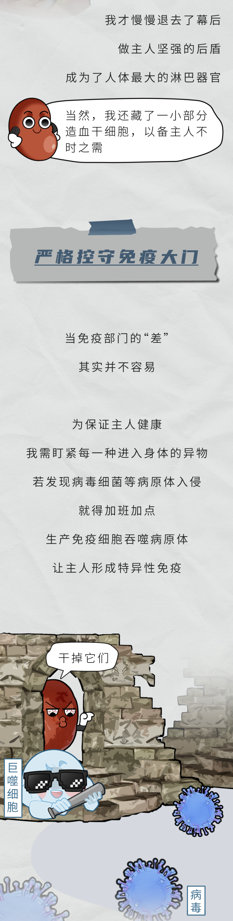 人体最没用的器官，拿掉也不会死，反而对身体更好？看完涨知识了