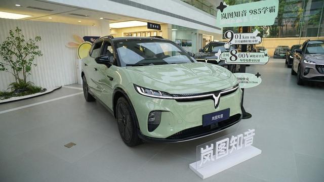 20~30万纯电SUV续航里程盘点 岚图知音夺冠