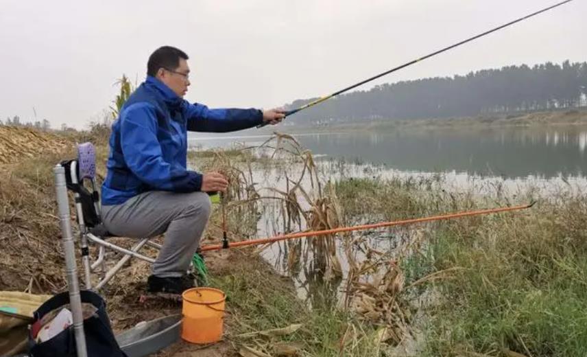 冬日钓鱼指南：揭秘鲫鱼的四大藏身之所