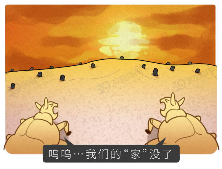 女子腹部痒，医生用镊子夹出13只阴虱！原来阴虱有3个传播途径