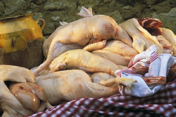 经常吃肥肉的人，到底是会长寿还是短命？11国研究调查给出答案