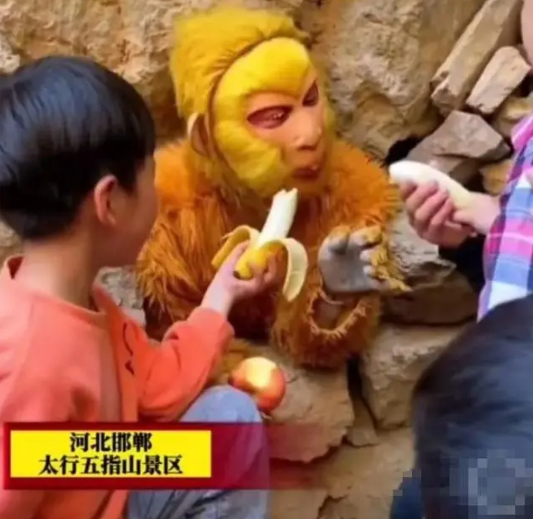 邯郸景区聘悟空扮演者:月薪6000,“零食无限供应”
