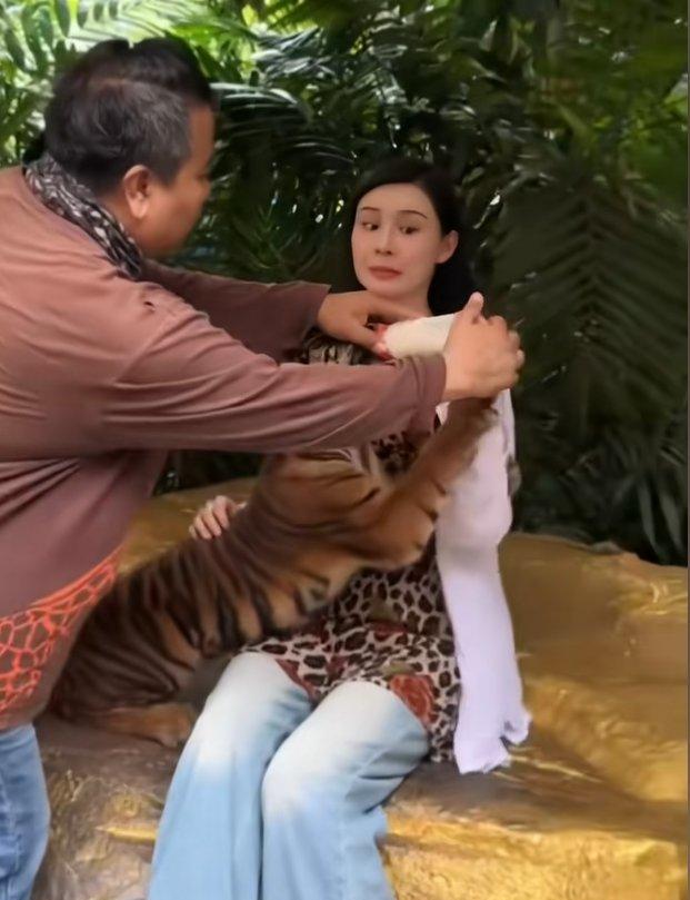 张颖颖泰国抱老虎,未剪辑视频曝光真实颜值,好像大S妈妈啊!