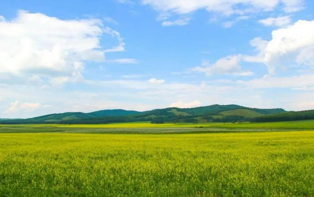 在单位里，没钱没靠山不可怕，只要你不做这5件事儿，照样风生水起