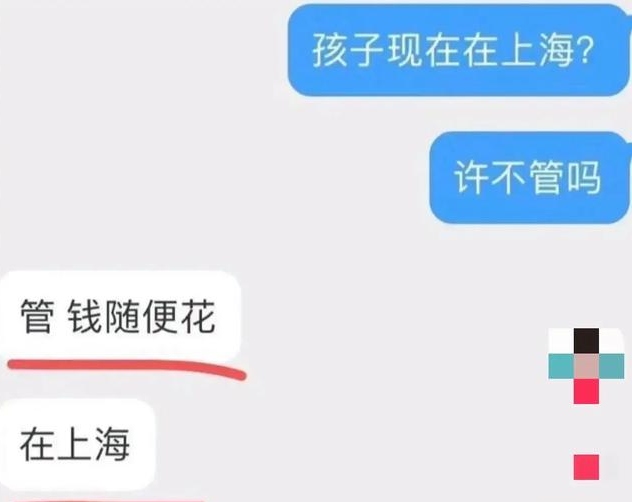 小S嘲讽林志玲退圈,给丈夫养私生子,还让俩未成年女儿搞擦边?