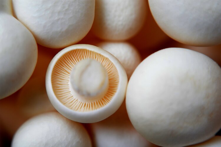 “甲醛大户”被揪出！3种蔬菜含甲醛，有毒还致癌？告诉你真相