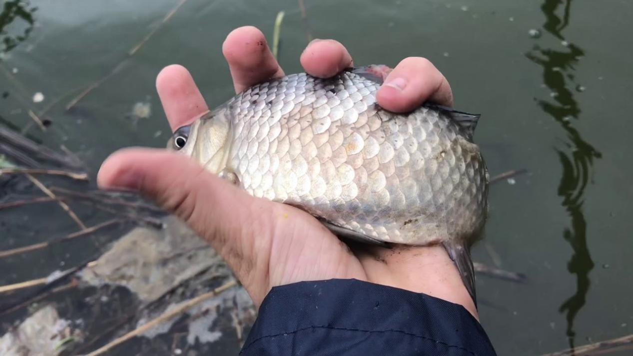 春天钓鱼不难，只要掌握这些误区和技巧，让鱼儿主动上钩！