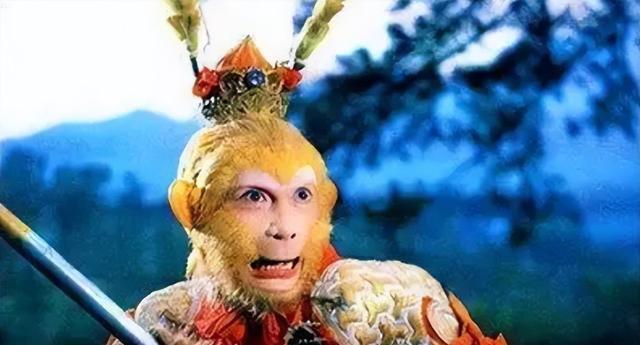 我们仿佛都是韭菜！这5个过气明星把 “情怀” 做成了 “生意”