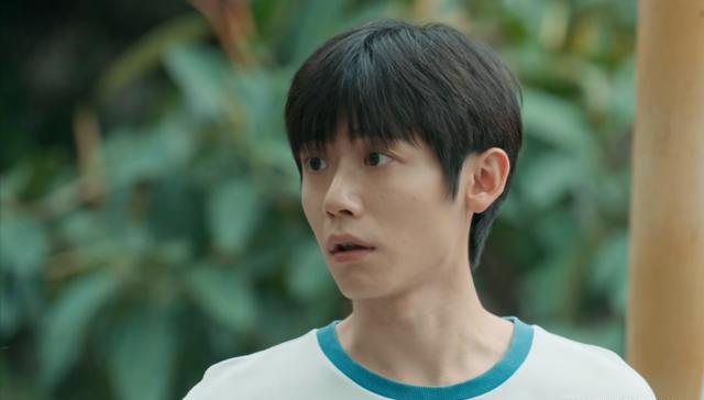 当“整容脸”进入央视家庭剧，老戏骨被打回原形，连刘琳也救不了