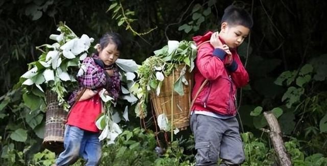 王艳终于熬出头,婆婆离世、儿子转性、老公失联,可以放手做自己