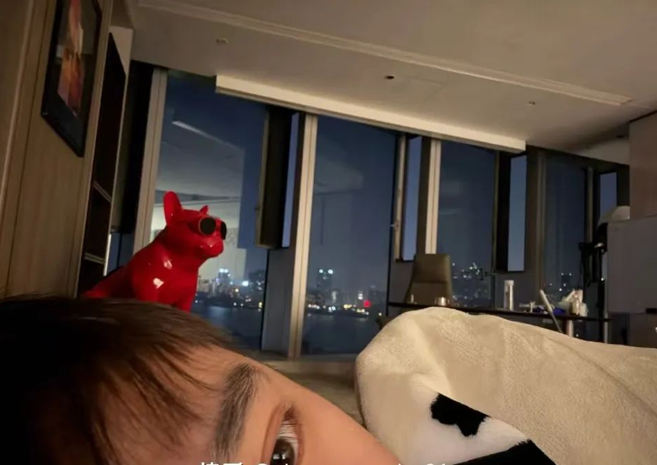 辛巴再次解释：我没有向刘强东道歉，骂了张一鸣也没人把我枪毙了