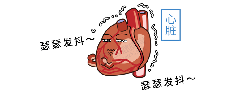 心脏决定寿命,60岁后对自己别太抠!常吃这3物,越吃越年轻