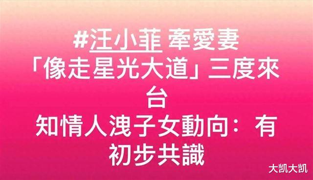 大结局了！S妈输的一塌糊涂！双方达成共识，汪小菲带孩子首亮相