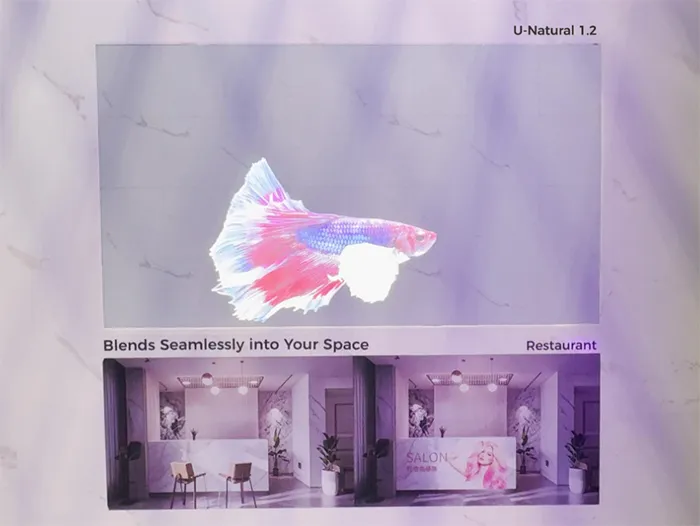 強強聯合，洲明攜手巴可共拓全球市場：中國LED光顯的全球化新范式