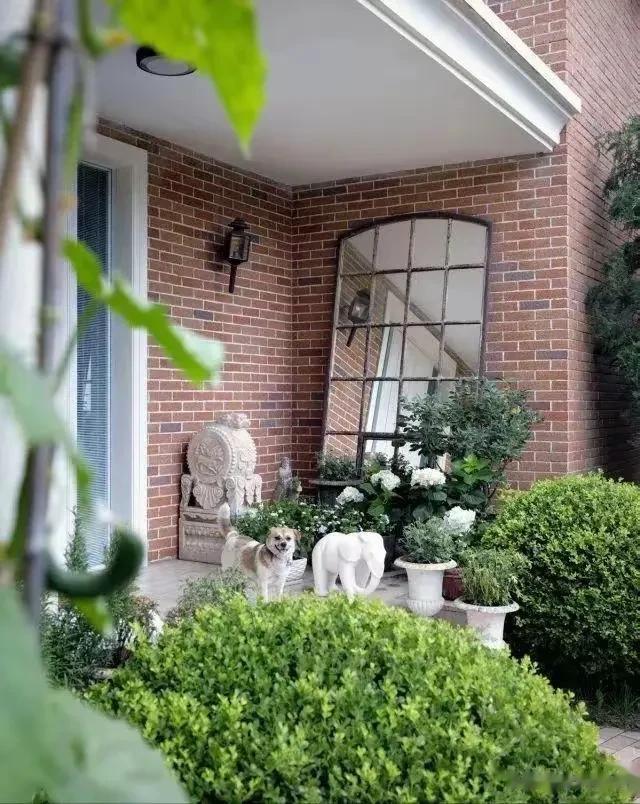 45岁女明星晒北京别墅小院,种了8颗桃树,独自居住,无性无爱