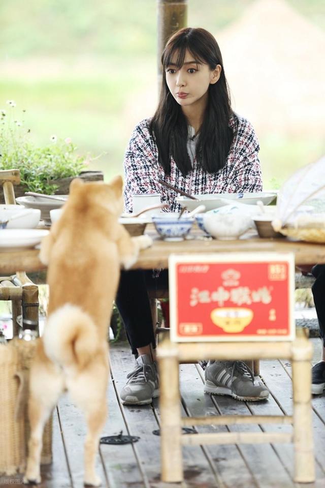 《向往的生活》重磅回归！网友热议：这次真的让人期待吗？