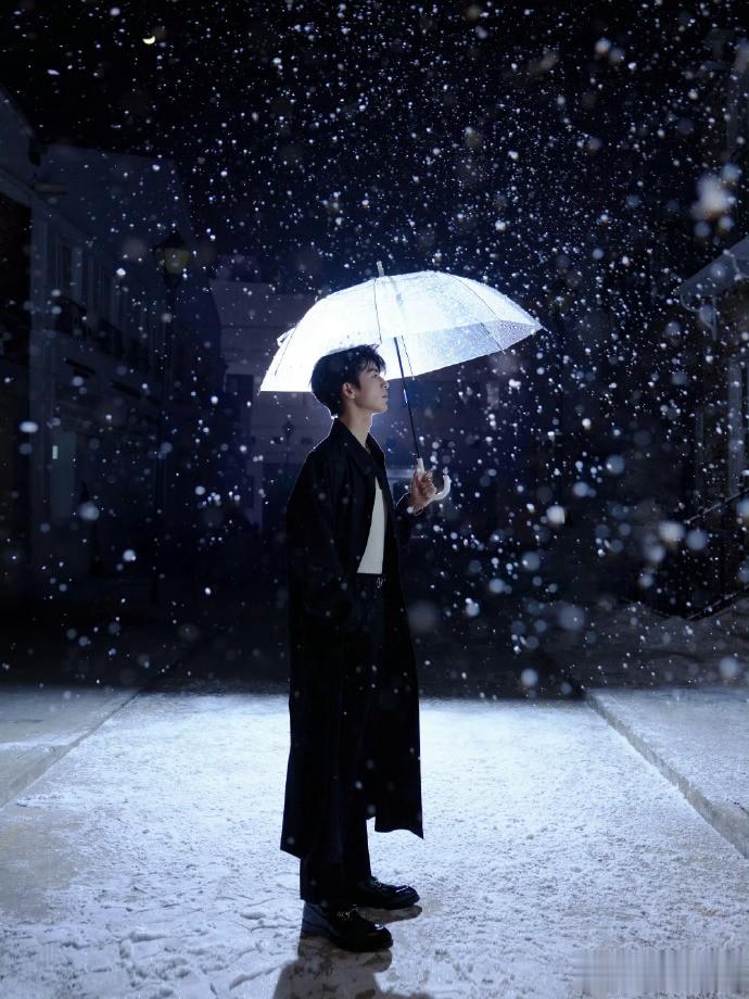 肖战,成毅,张凌赫,丁禹兮,陈哲远等雪景氛围照,谁是你的菜?