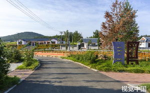 老家拆迁分300万，大姐连夜被两个弟弟赶出家门：女人没资格回来分钱。