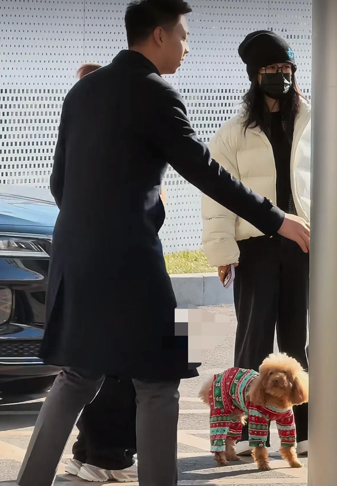 杨紫出发进组拍戏，狗狗前来送别难舍难分，一身休闲穿搭被种草了