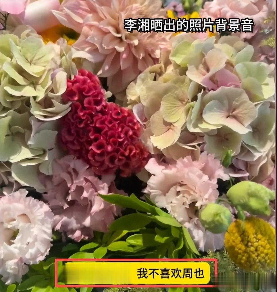 太尴尬!李湘晒图暴露王诗龄背后蛐蛐周也,被发现后连忙上线删除