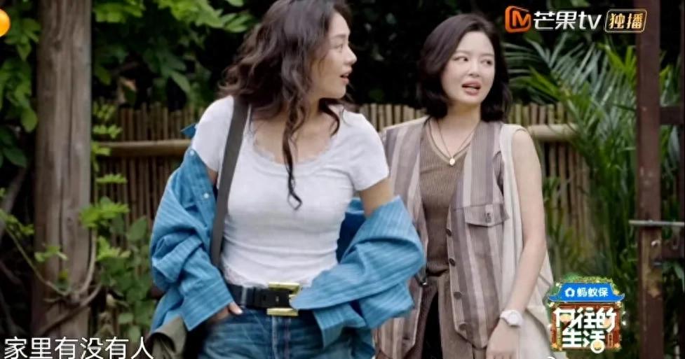 辛芷蕾马思纯蘑菇屋同框，三影后齐聚《向往的生活》新一季