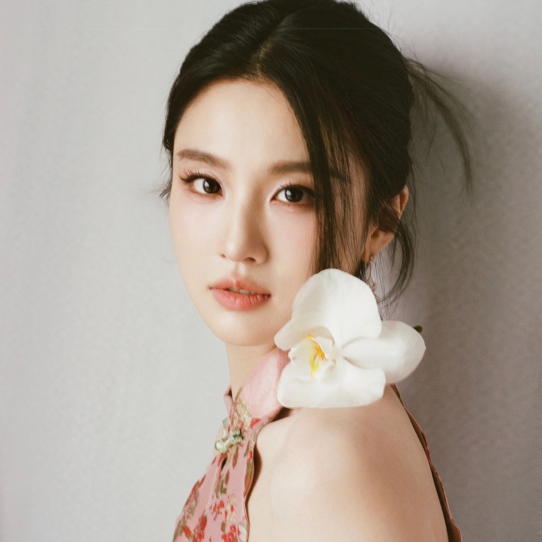 女明星，张慧雯